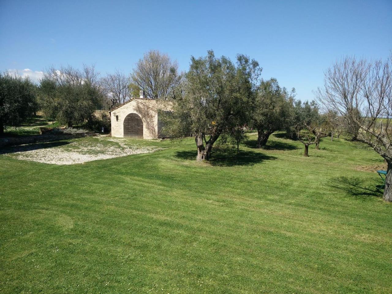 Agriturismo Mondomini Campofilone Kültér fotó