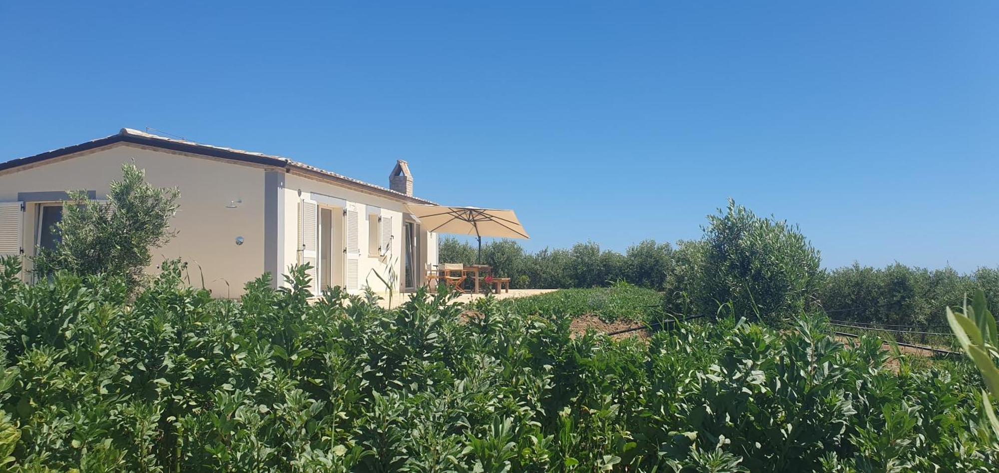 Agriturismo Mondomini Campofilone Kültér fotó